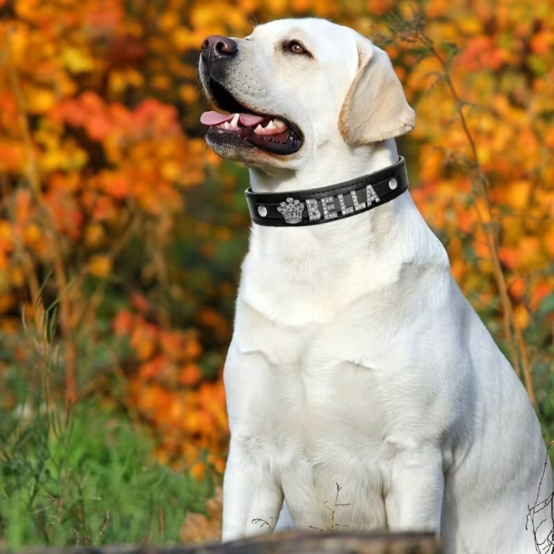 Custom Faux Leather Dog Collar With Rhinestone Design