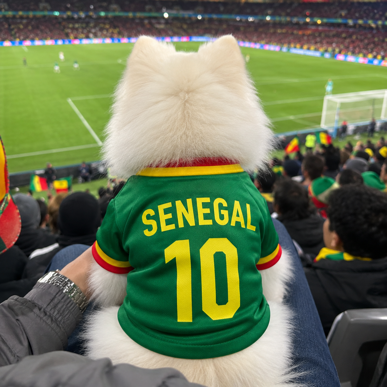 World Cup 2026 Senegal Soccer Pet Jersey