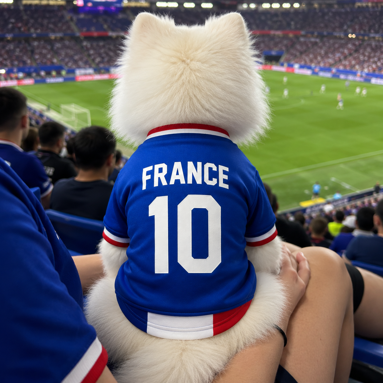 World Cup 2026 France Soccer Pet Jersey