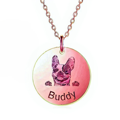 Custom Round Pet Photo Pendant Necklace With Name-Ziggy Dog Training Collar
