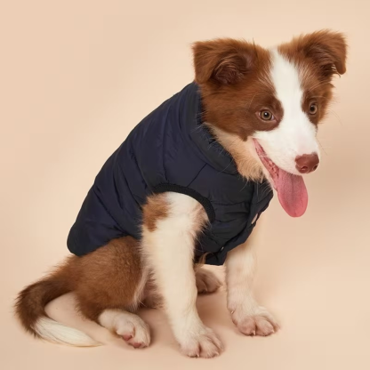 Adjustable Warm Coat With Thick Pad For Dogs