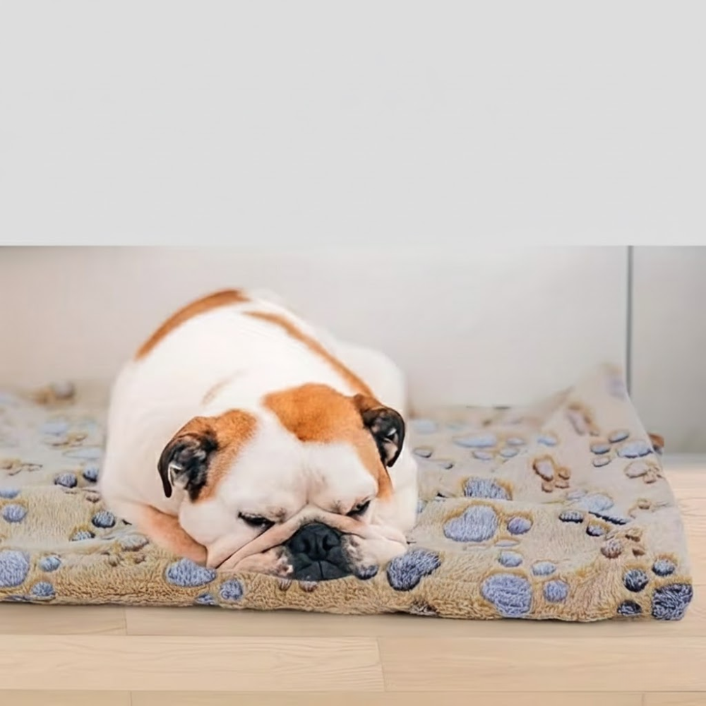 Paw Pattern Dog Blanket Set