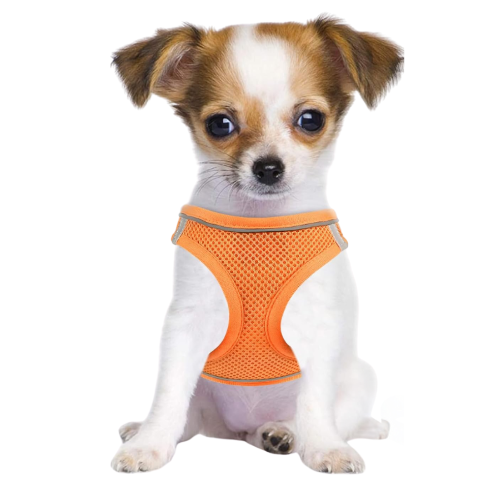 Dog Harness And Leash Set No Pull Mesh Reflective Vest For Pets