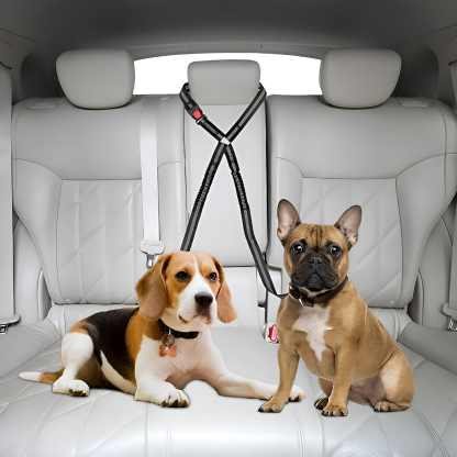 Elastic Double Leash Dog Cat Seat Belts