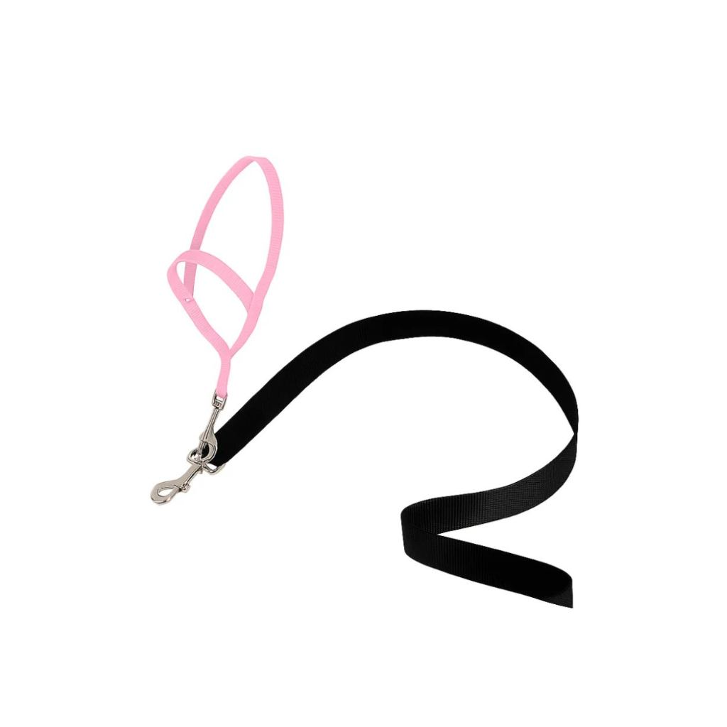 Gentle Leader No Pull Dog Headcollar For Easier Walks