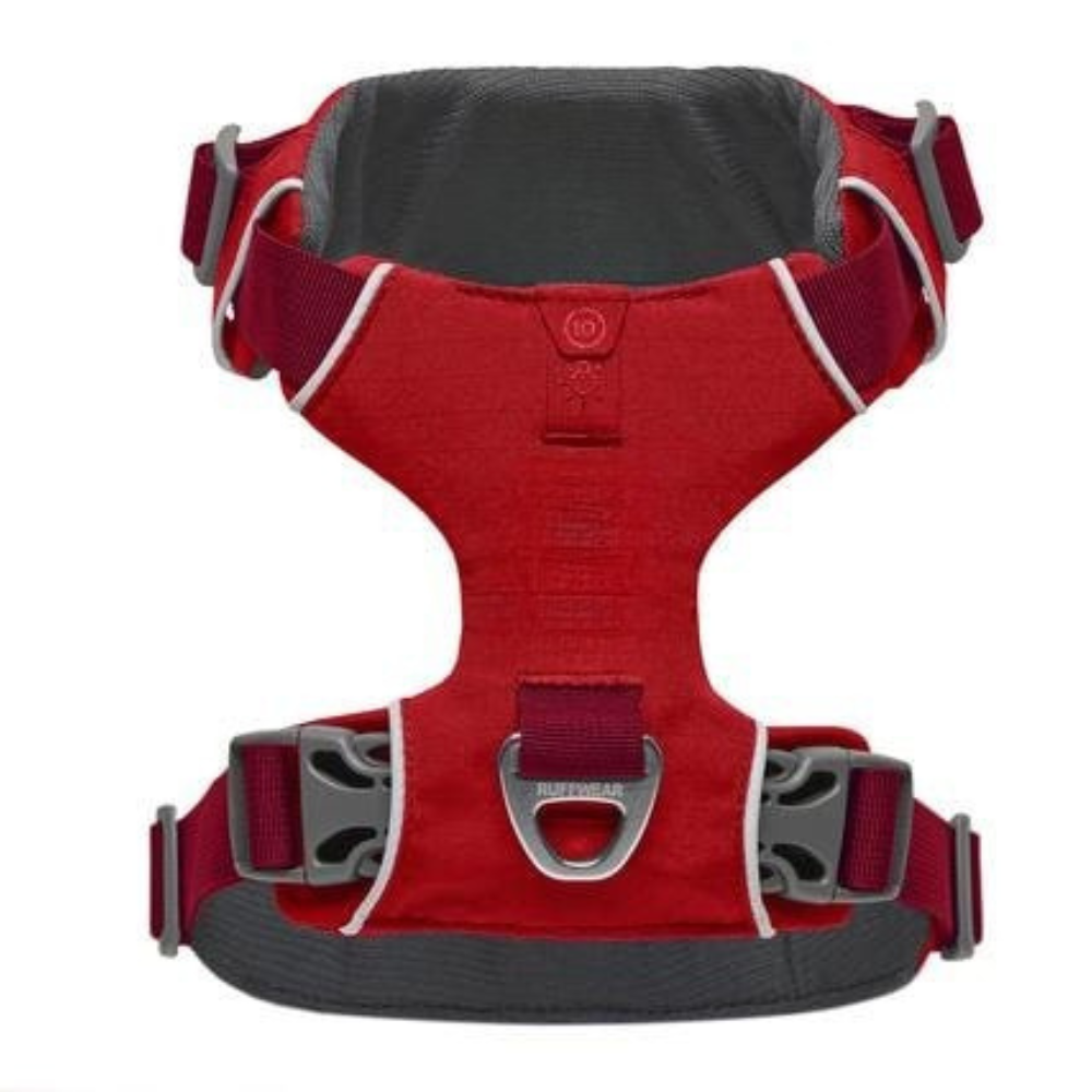 Adjustable Adventure Dog Harness For Outdoor Walking-Ziggy Dog Training Collar