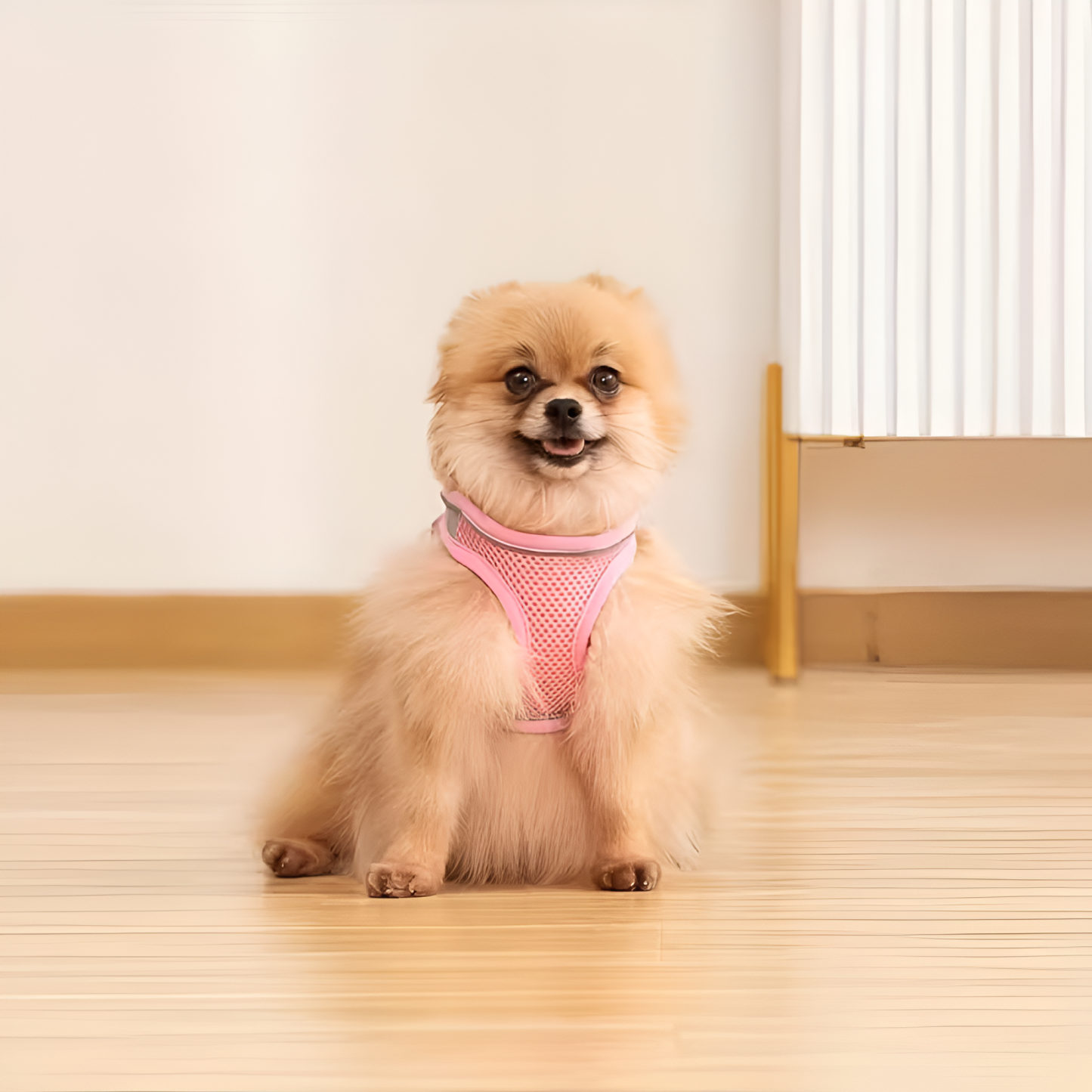 [Copy]Rectangular Pet Floor Mat With Cushioned Support And Paw Print Pattern