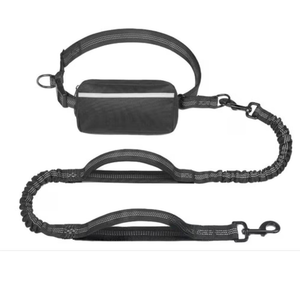Reflective Bungees Running Dog Leash-Ziggy Dog Training Collar