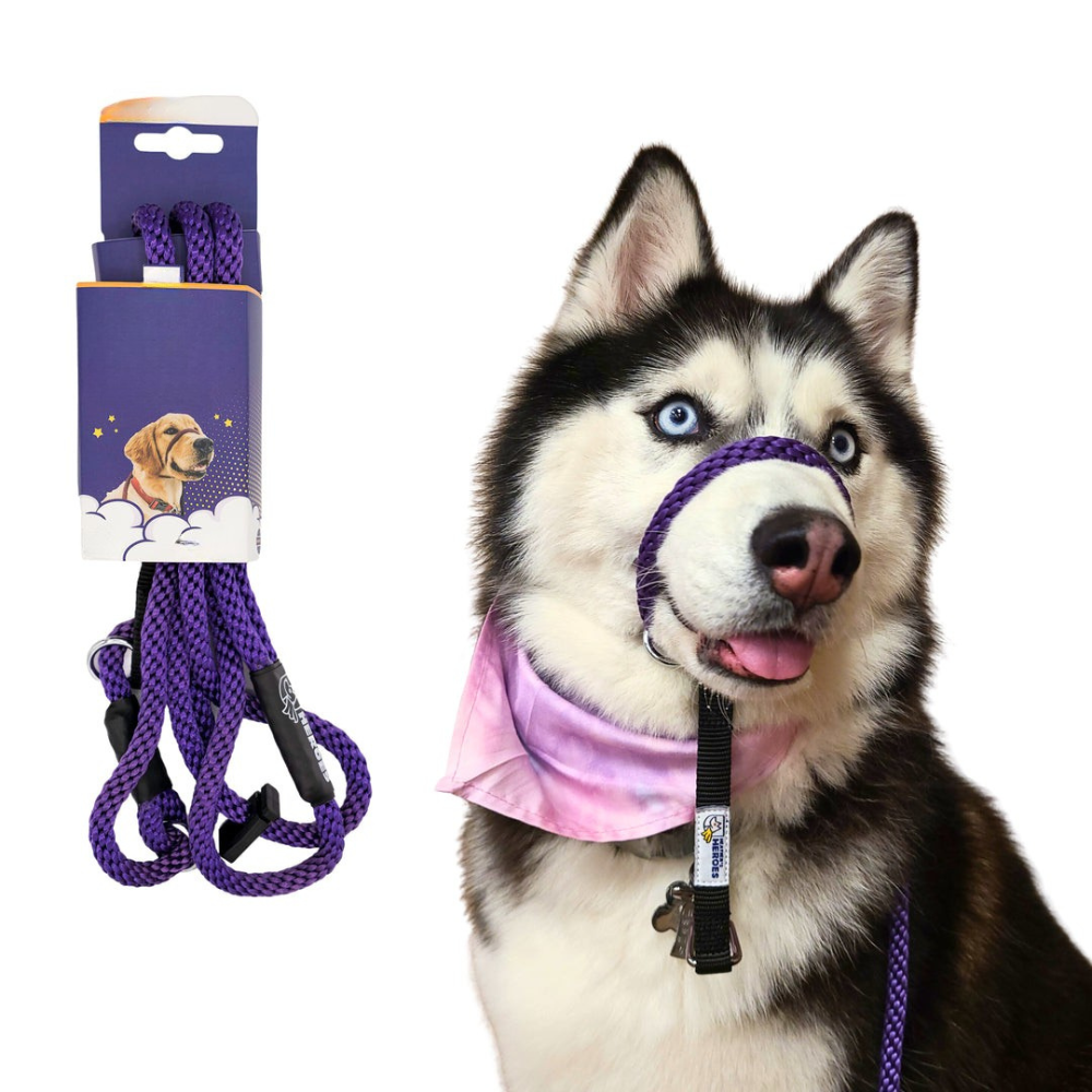 Original Transitional Leash-Ziggy Dog Training Collar