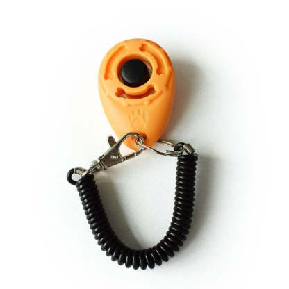 Adjustable Training Sound Key Chain For Pet-Ziggy Dog Training Collar