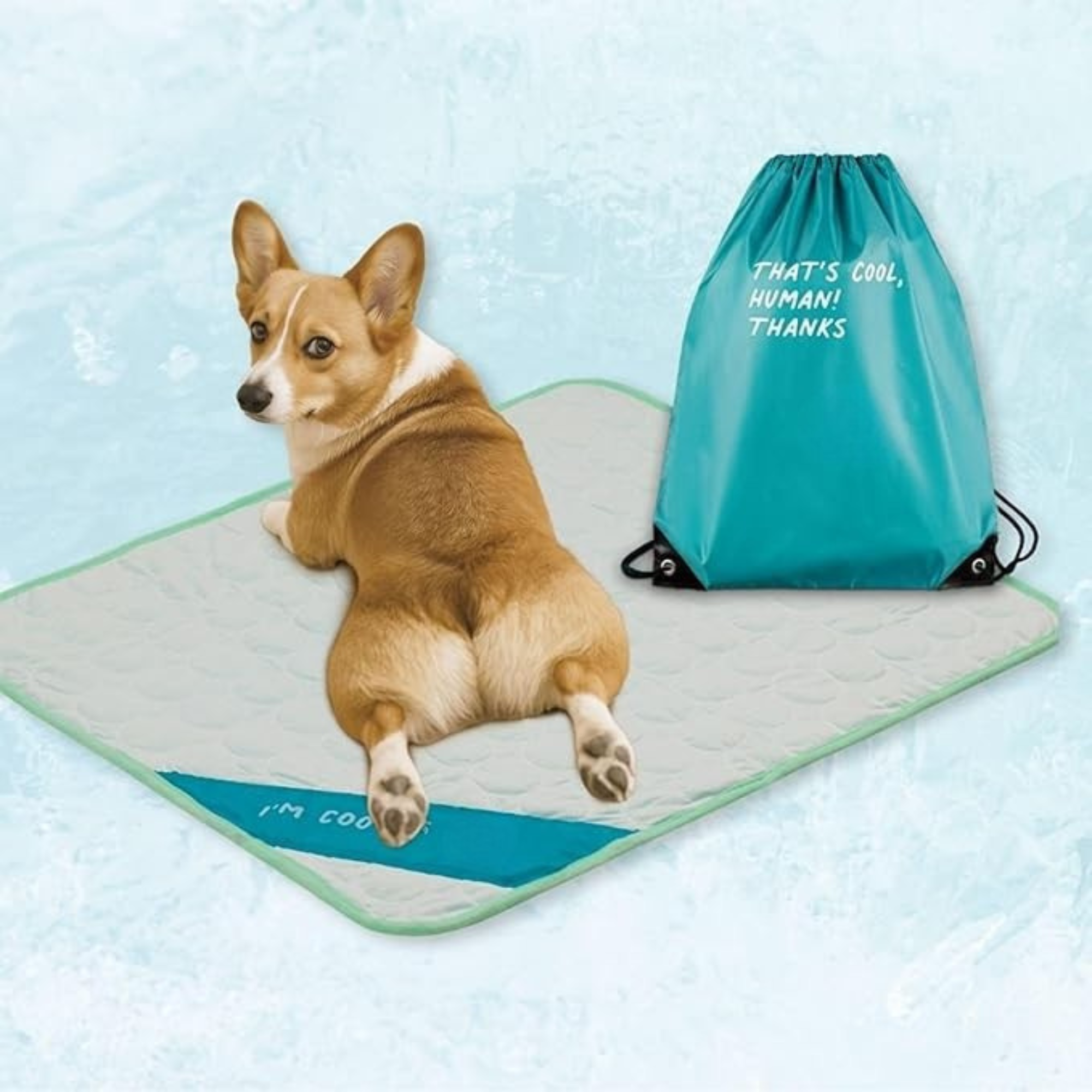 Foldable Self Cooling Pad For Dogs