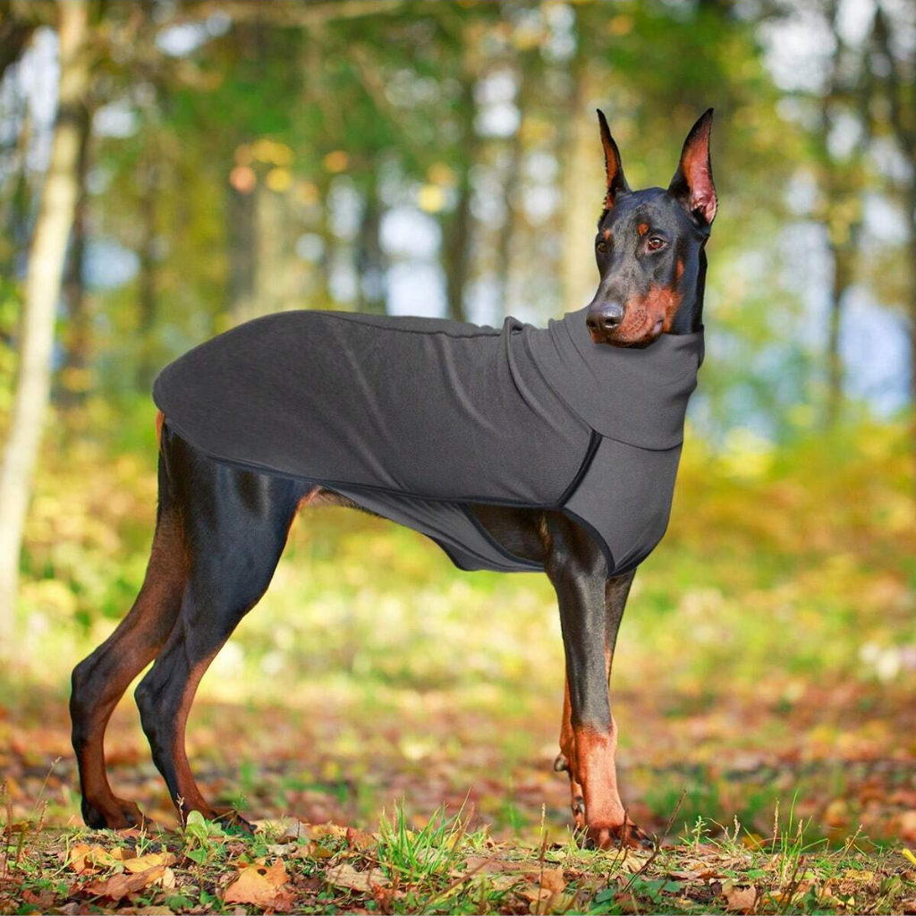 Solid Color Patchwork Pet Hoodie