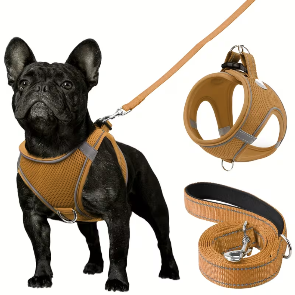 Adjustable Dog Harness With Leash Set And Reflective Trim