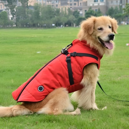 Padded Zipper Dog Vest With Harness