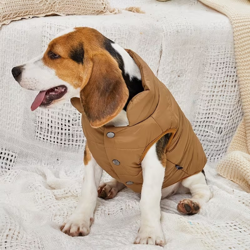 Adjustable Warm Coat With Thick Pad For Dogs