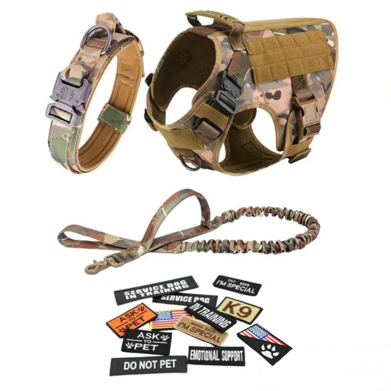 Dog Harness With D Rings-Ziggy Dog Training Collar