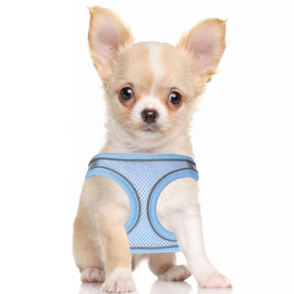 Dog Harness and Leash Set No Pull Mesh Reflective Vest For Pets