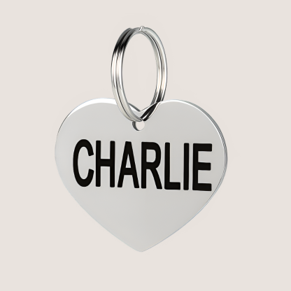 Custom Stainless Steel Pet ID Tags