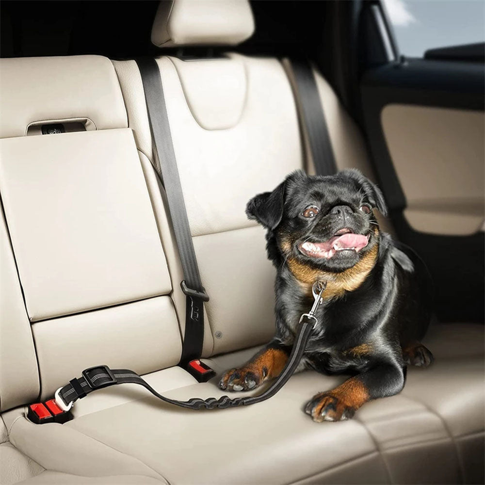 Seatbelt Car Travel Supplies For Pet-Ziggy Dog Training Collar