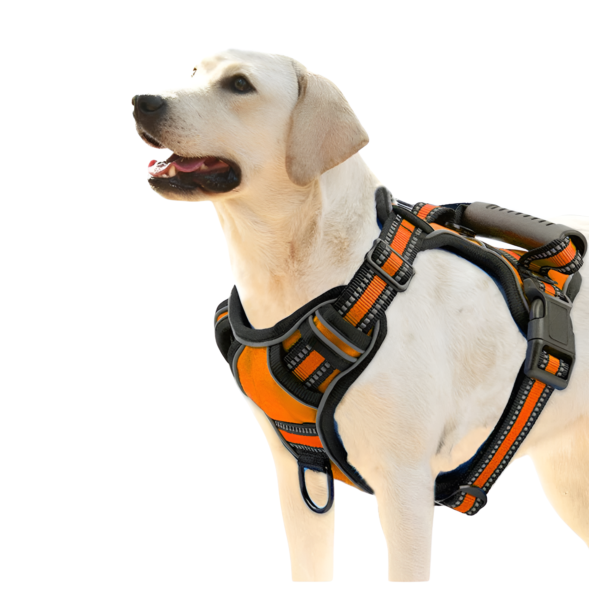 Reflective Pet Harness With No Pull Design