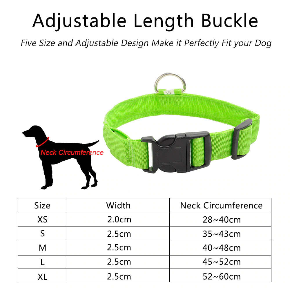 Ziggy LED Dog Collar - USB Rechargeable - Glow In Dark-Ziggy Dog Training Collar