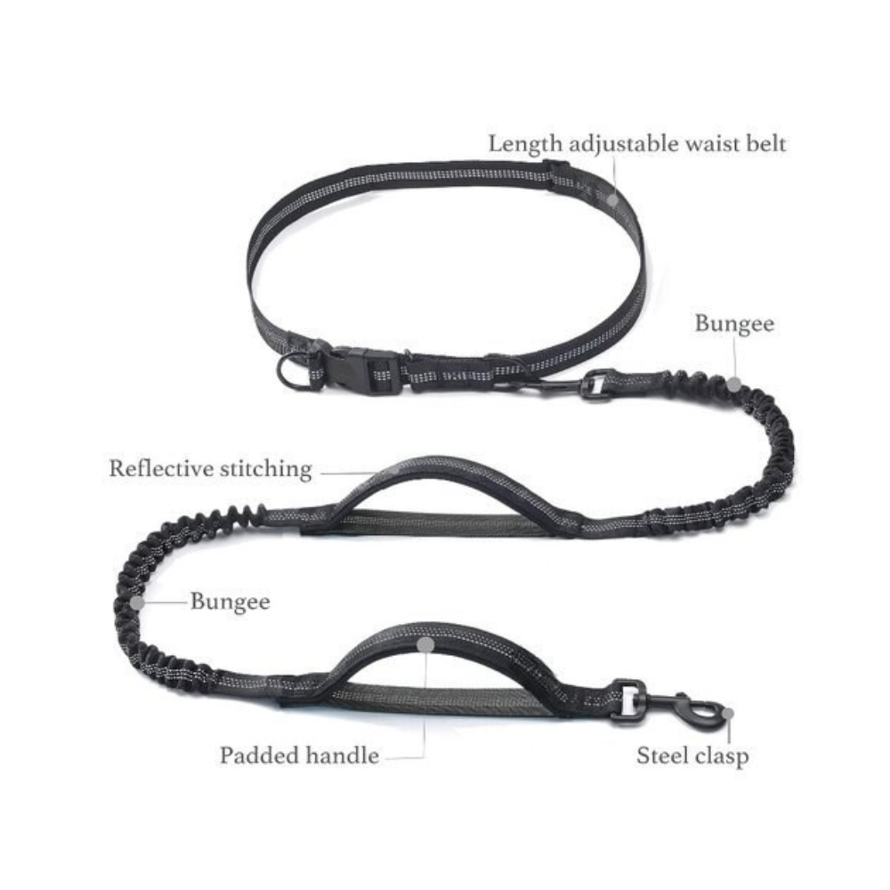 Reflective Bungees Running Dog Leash-Ziggy Dog Training Collar