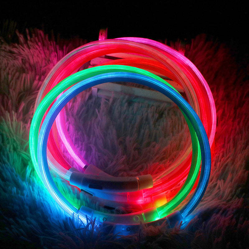 Led Luminous USB Dog Collar-Ziggy Dog Training Collar