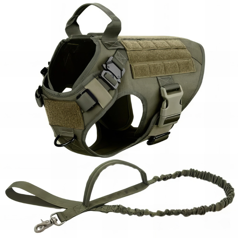 Dog Harness With Accessories-Ziggy Dog Training Collar