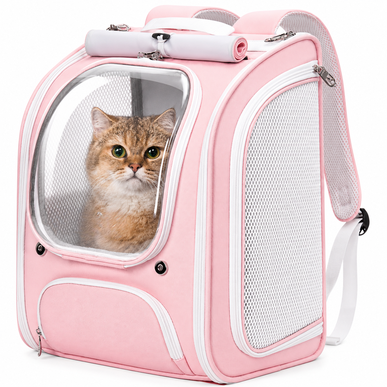 Shaded 3D Design Bubble Backpack For Pets