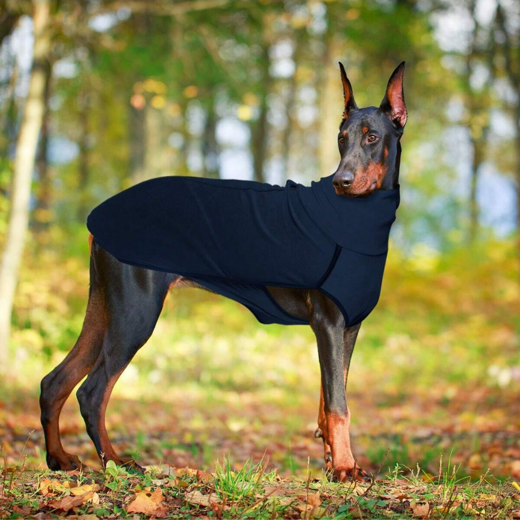 Solid Color Patchwork Pet Hoodie