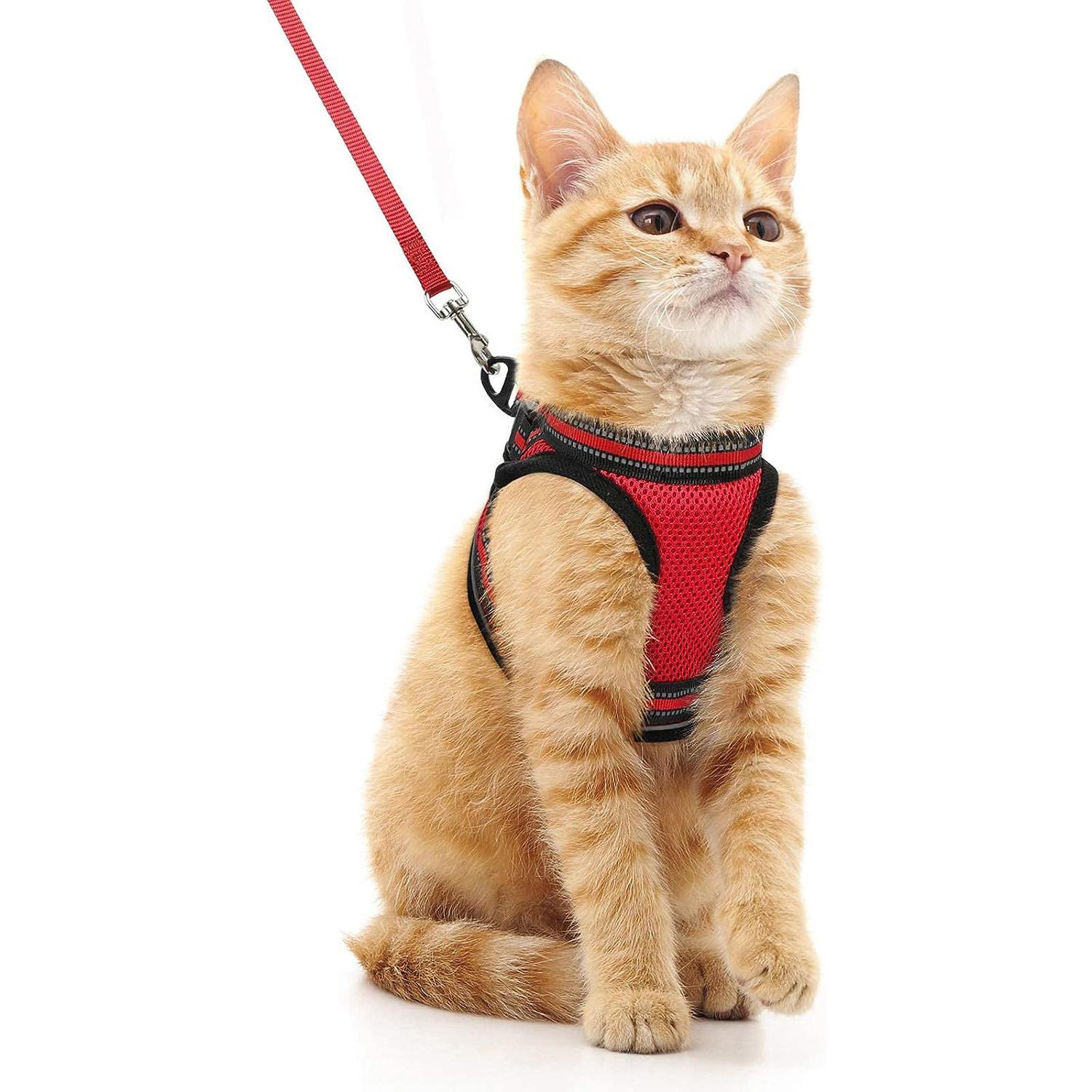 Outdoor Adjustable Soft Cat Vest Harness and Leash Set With Reflective Strips