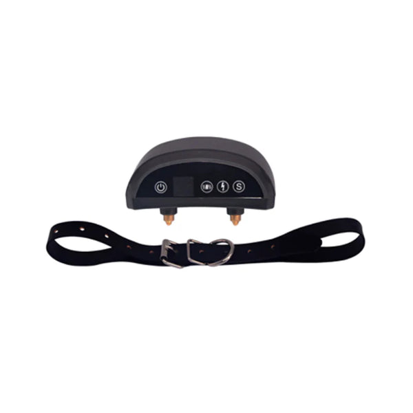 Dog Collar