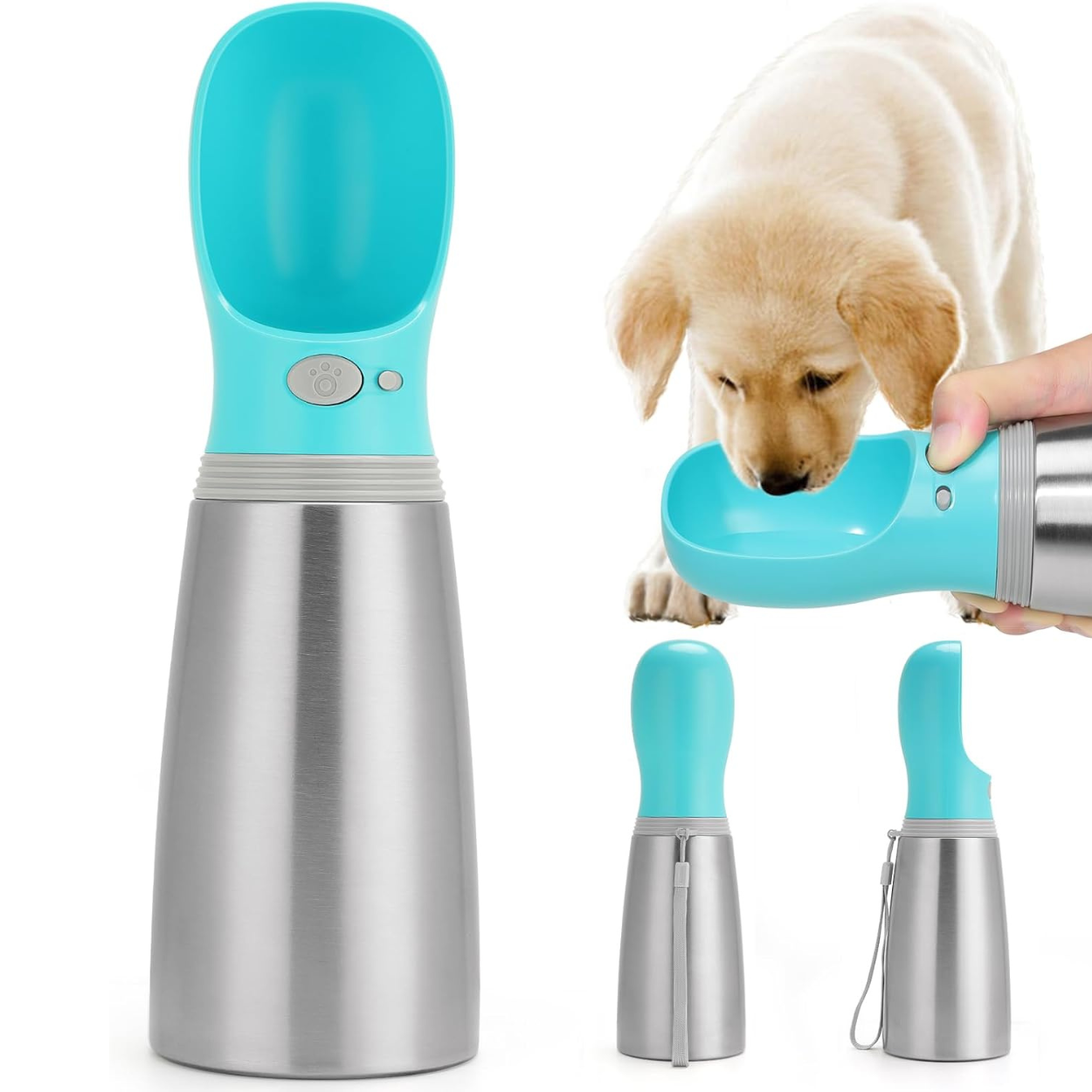 Portable 14 OZ Stainless Steel Dog Water Bottle for Outdoor Travel
