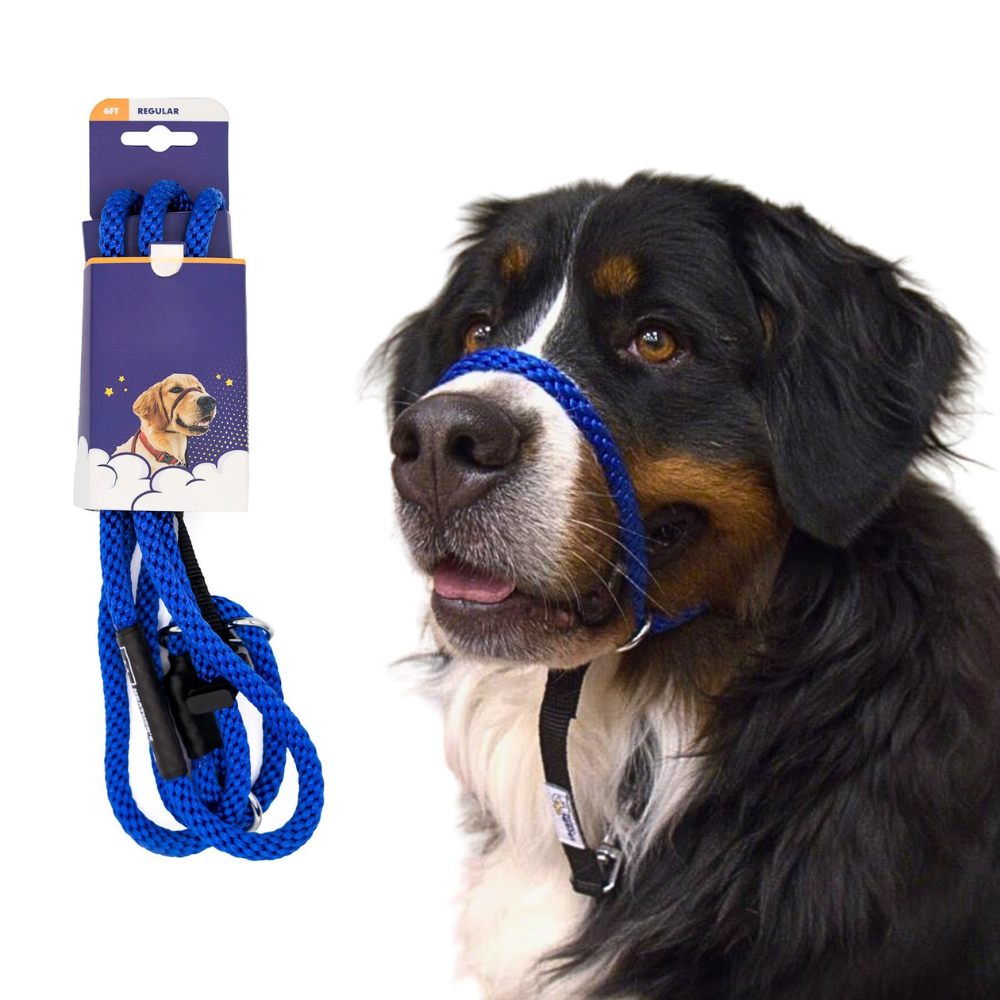 Original Transitional Leash-Ziggy Dog Training Collar