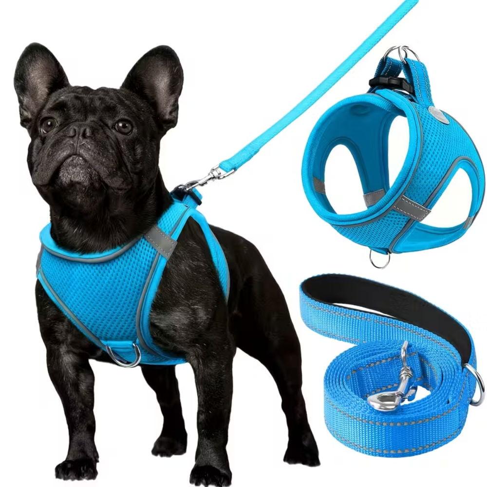 Adjustable Dog Harness With Leash Set And Reflective Trim