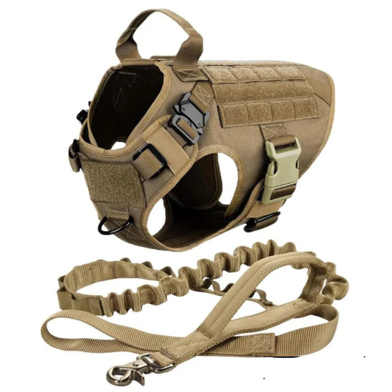 Dog Harness With Dual D Rings-Ziggy Dog Training Collar