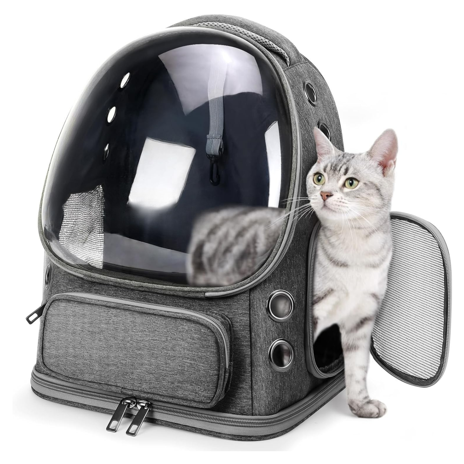 Expandable Bubble Travel Carrier Backpack for Cats And Dogs