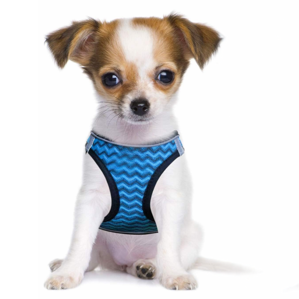 Dog Harness And Leash Set No Pull Mesh Reflective Vest For Pets