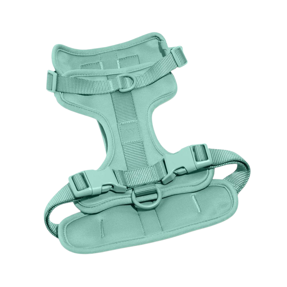 Wild One Dog Harness-Ziggy Dog Training Collar