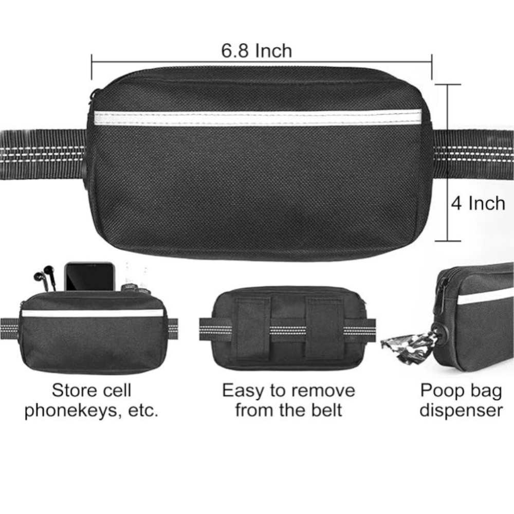 Reflective Bungees Running Dog Leash-Ziggy Dog Training Collar