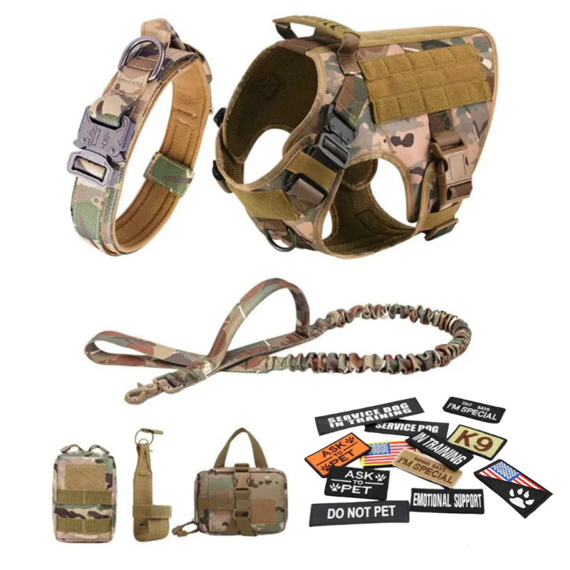 Dog Harness With D Rings-Ziggy Dog Training Collar