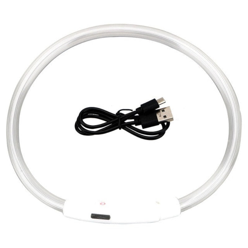 LED Collar For Dogs-Ziggy Dog Training Collar