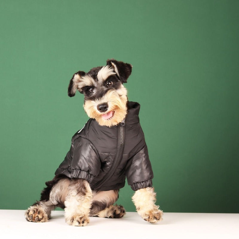 Large Warm Winter Dog Clothes-Ziggy Dog Training Collar