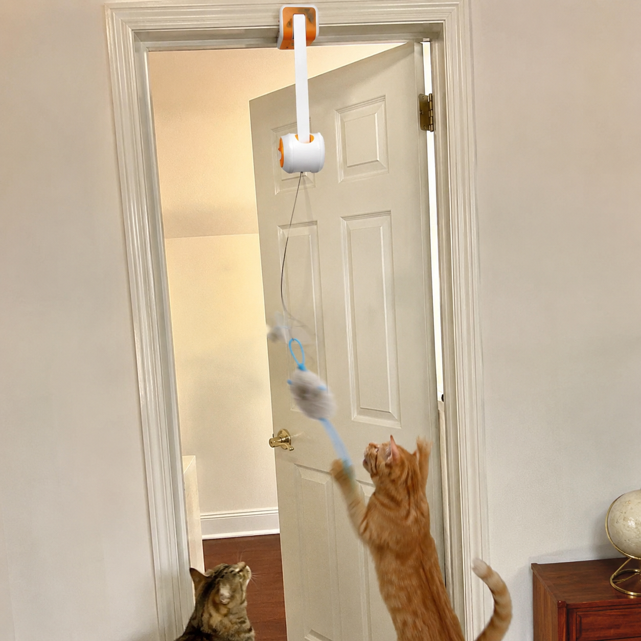 Auto Teaser Wand With 2 Fun Modes Rechargeable Cat Toy