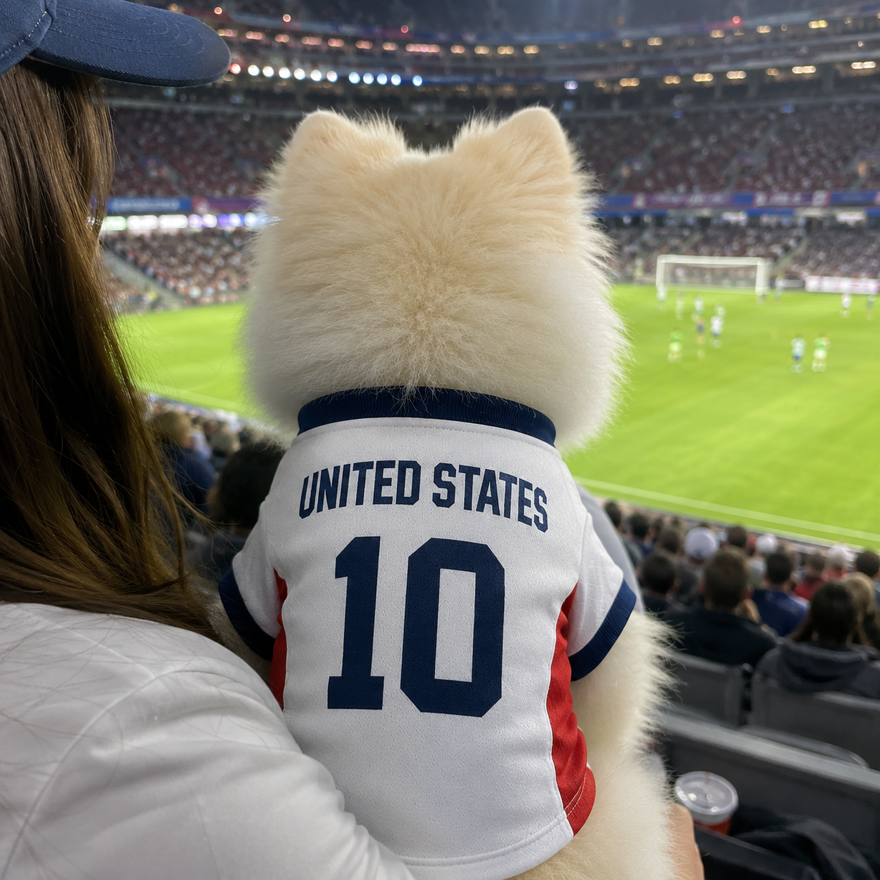 World Cup 2026 United States Soccer Pet Jersey