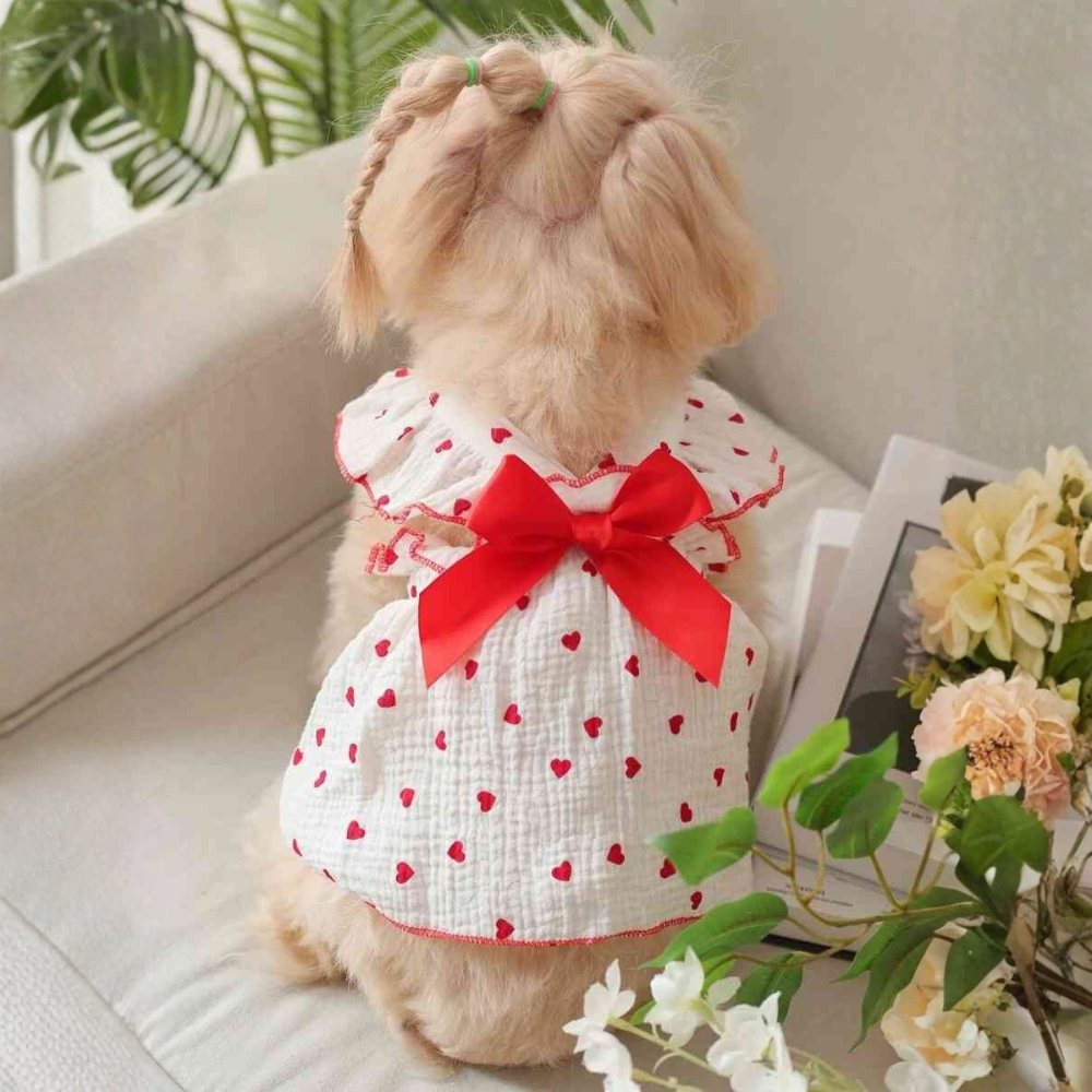 Printed Pet Summer Dress With Bow Detail For Cats And Dogs Stylish Wear