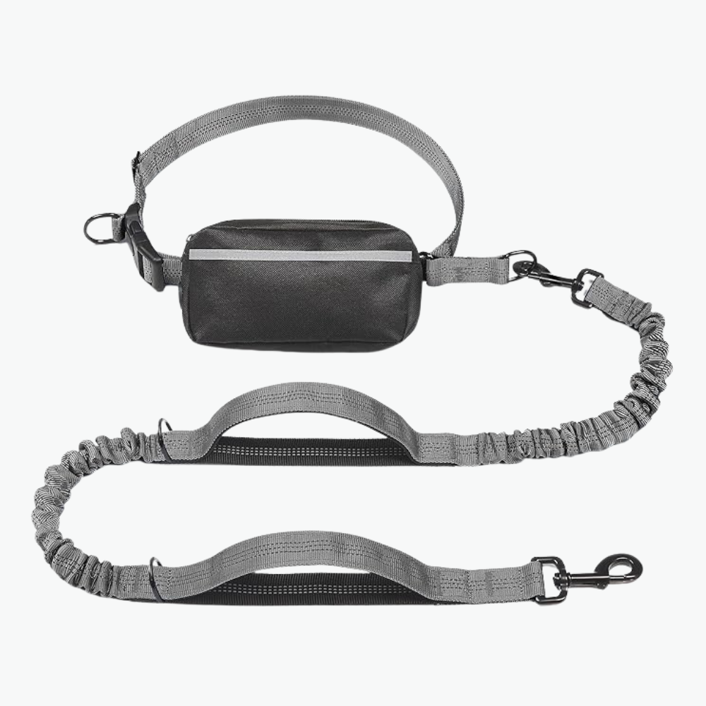 Hands Free Dog Leash With Zipper Pouch