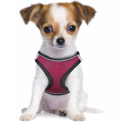 Dog Harness And Leash Set No Pull Mesh Reflective Vest For Pets