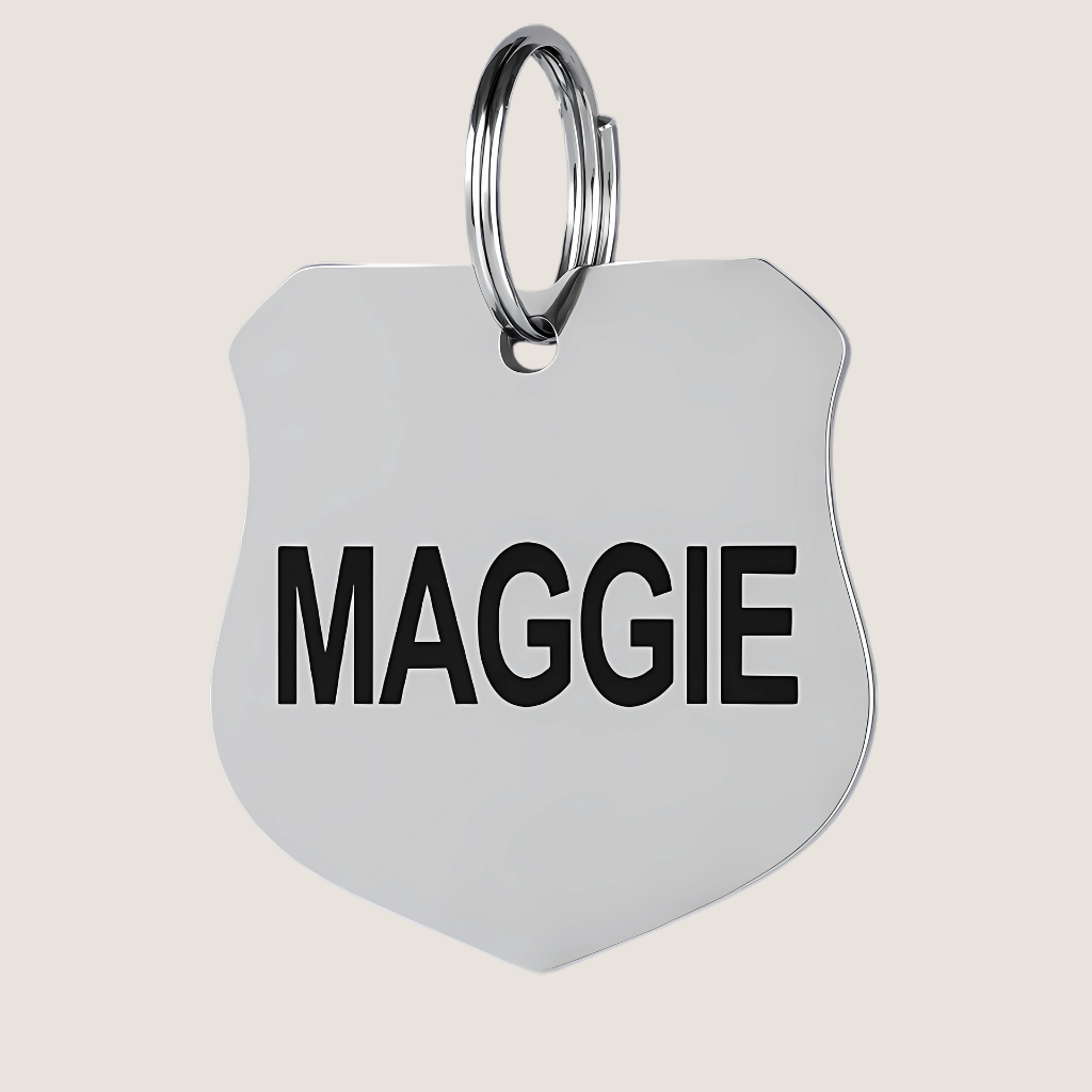 Custom Stainless Steel Pet ID Tags