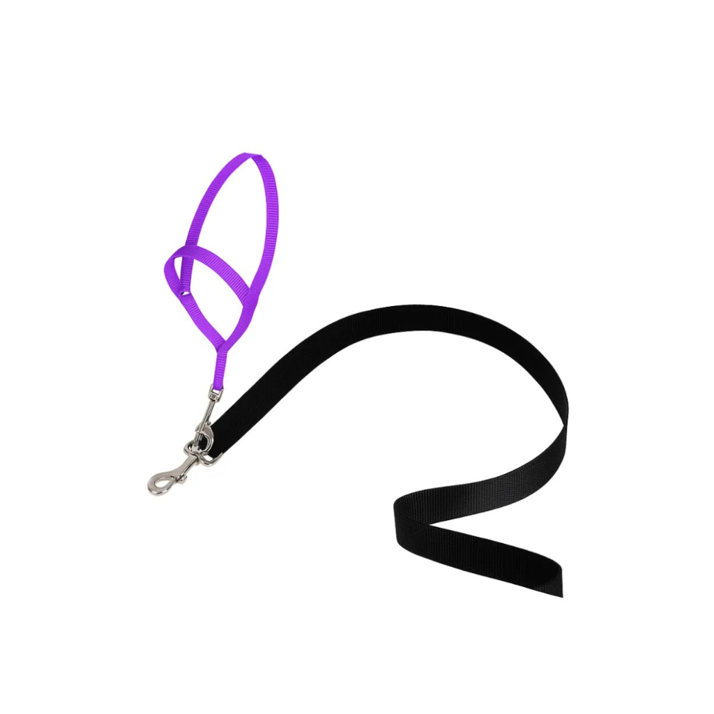 Gentle Leader No Pull Dog Headcollar For Easier Walks